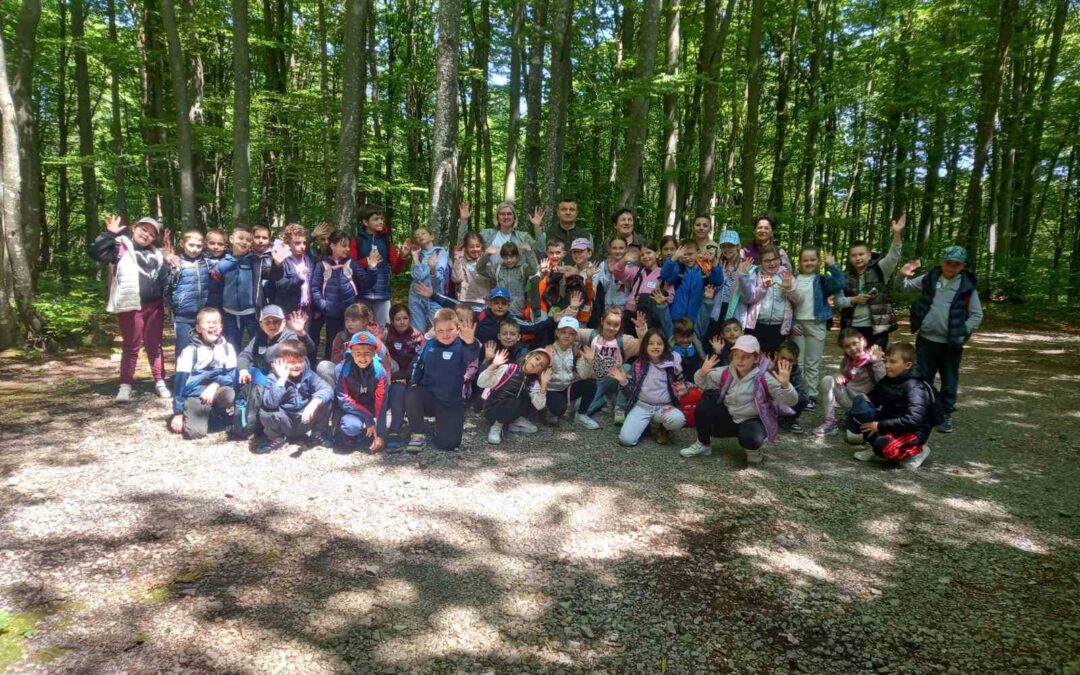 RADIONICA ŠKOLA U ŠUMI