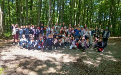 RADIONICA ŠKOLA U ŠUMI