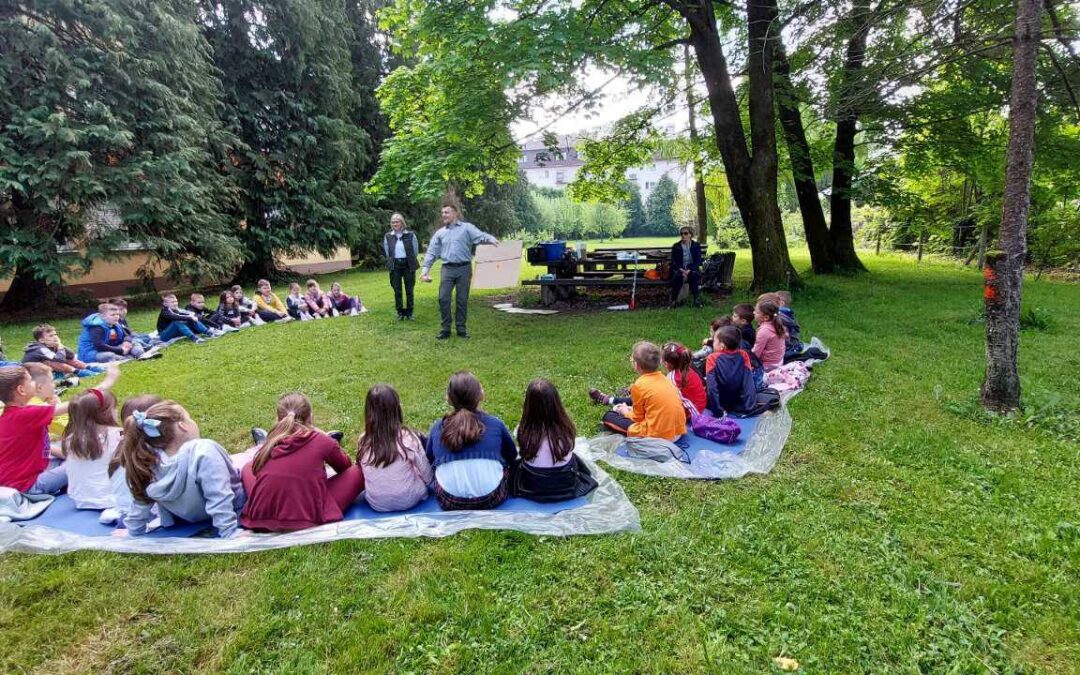ŠKOLA U ŠUMI, ŠUMA U ŠKOLI