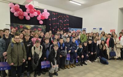 BRLIĆKA DOMAĆIN ŽUPANIJSKOG NATJECANJA IZ INFORMATIKE ZA OSNOVNE ŠKOLE